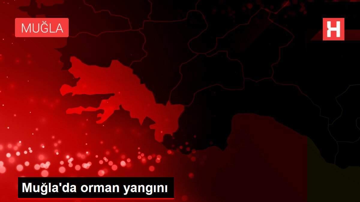 Muğla'da orman yangını