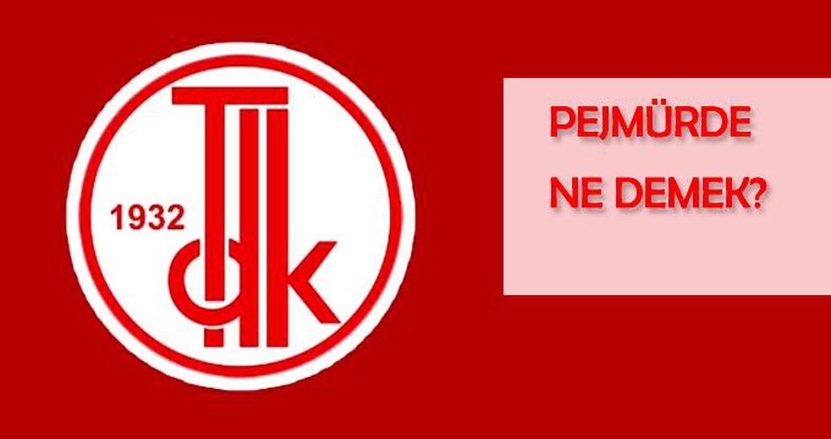 Pejmürde ne demek? Pejmürde TDK anlamı