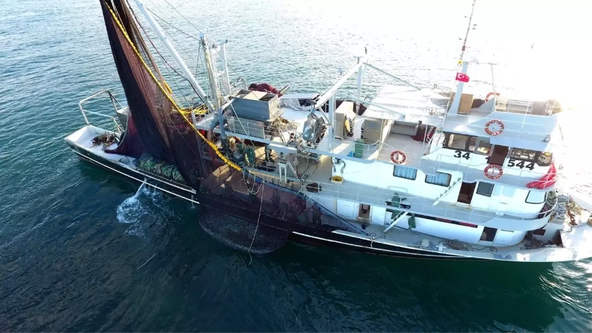 Sinop'ta istavrit bereketi