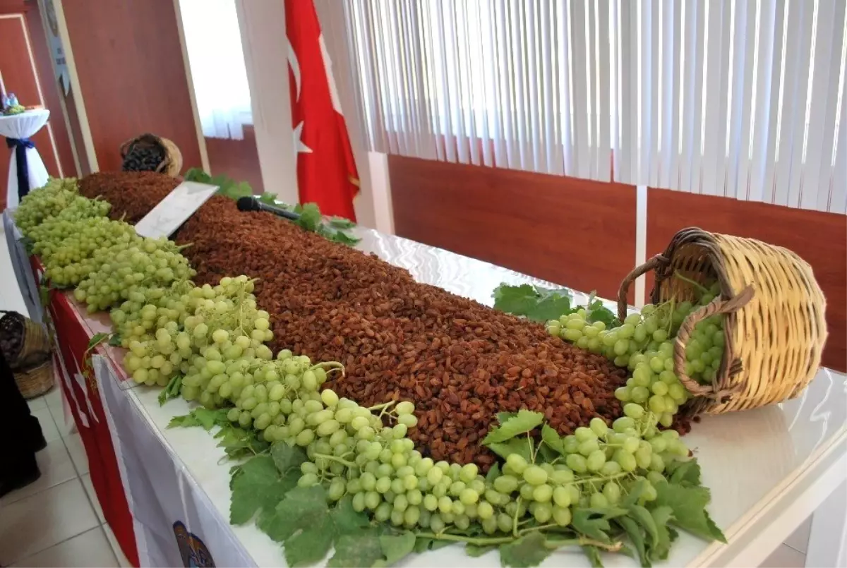 TARİŞ açıkladı, en düşük üzüm 10 lira