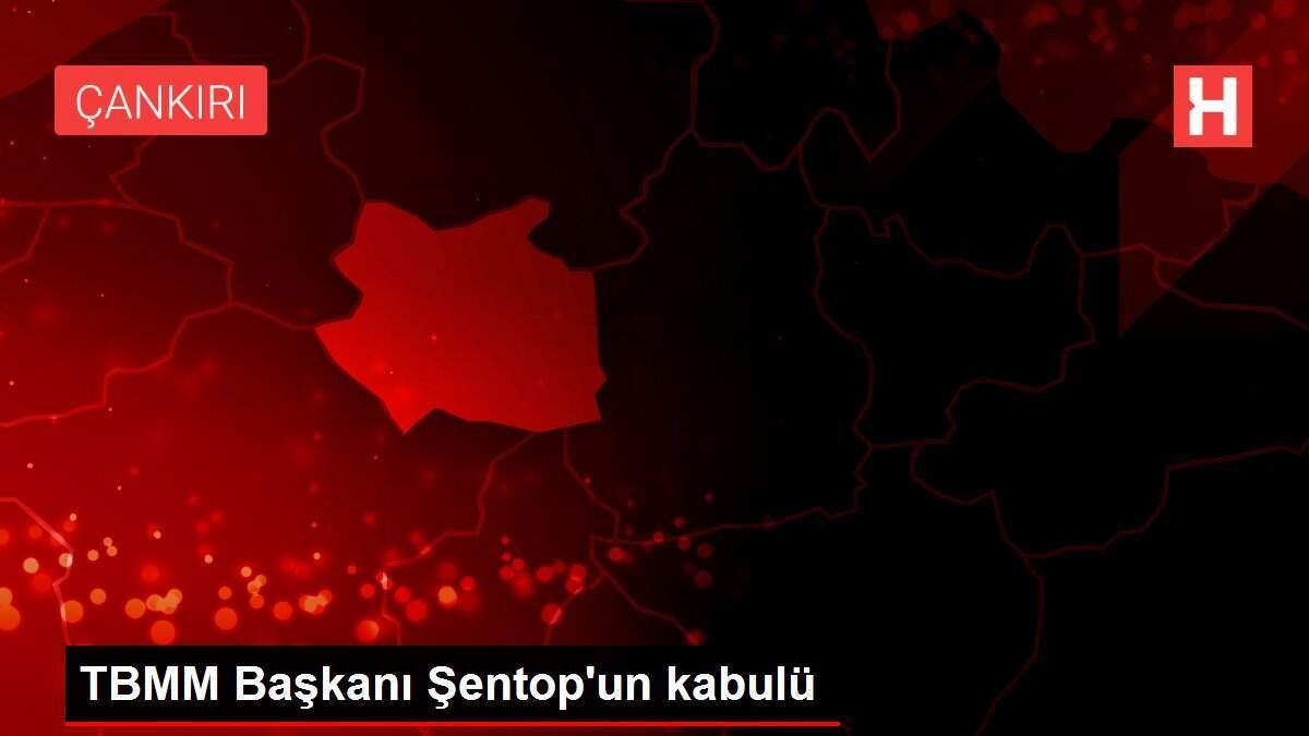 TBMM Başkanı Şentop'un kabulü