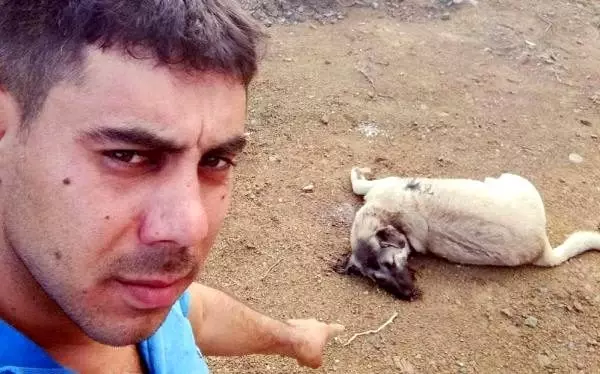 9 aylık köpek av tüfeği ile öldürüldü 9 aylık köpek av tüfeği ile öldürüldü