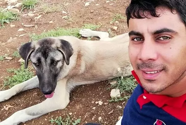 9 aylık köpek av tüfeği ile öldürüldü 9 aylık köpek av tüfeği ile öldürüldü