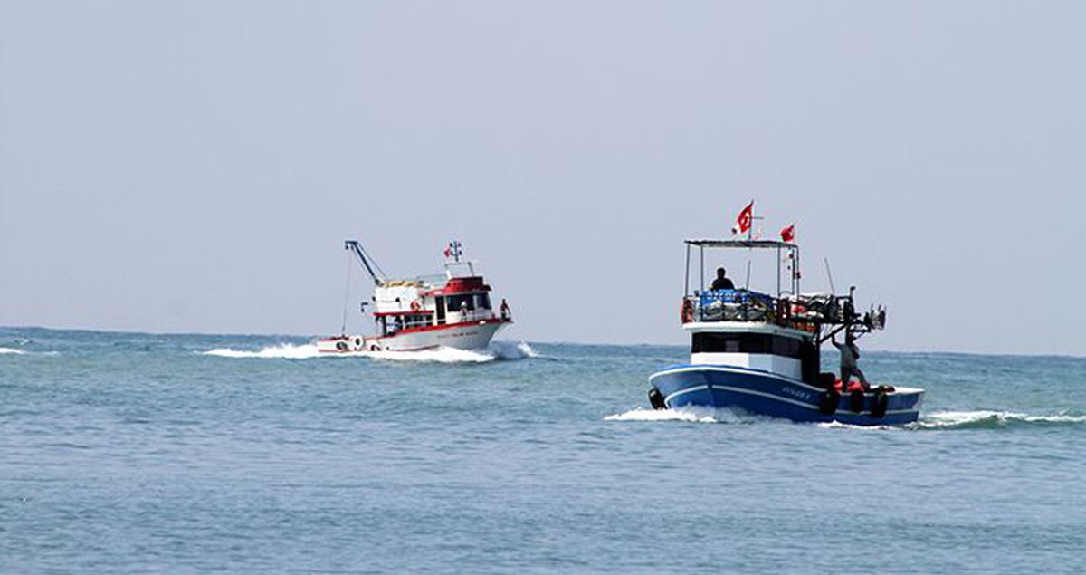Balıkçılar rotayı salyangoza çevirdi! Kilosu 3,5 liradan satılıyor