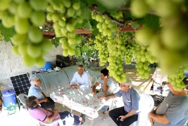 Başkan Tarhan'dan en az oy aldığı Tol Mahallesi'ne ziyaret