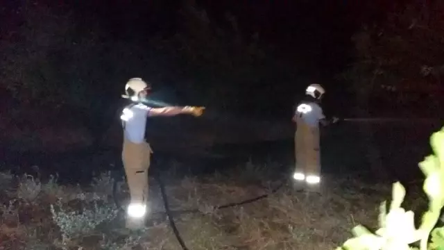 Burhaniye'de arazi yangınında mandalina ağaçları zarar gördü Burhaniye'de arazi yangınında mandalina ağaçları zarar gördü