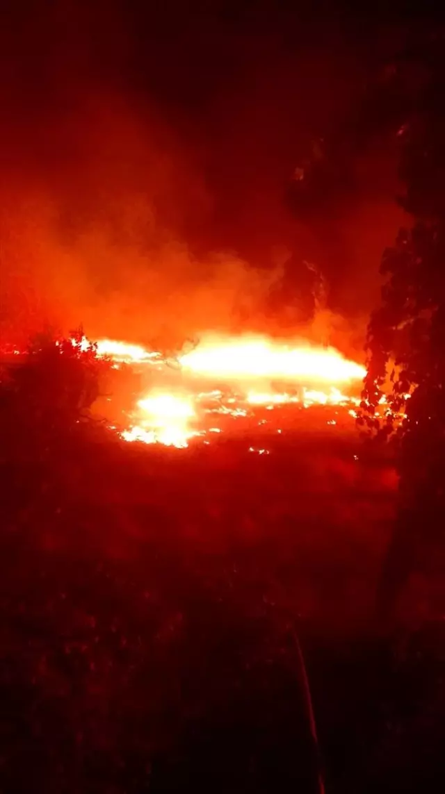 Burhaniye'de meyve bahçesinde yangın Burhaniye'de meyve bahçesinde yangın