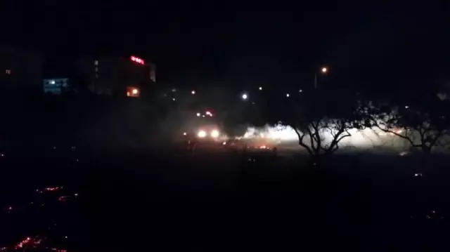 Burhaniye'de meyve bahçesinde yangın Burhaniye'de meyve bahçesinde yangın