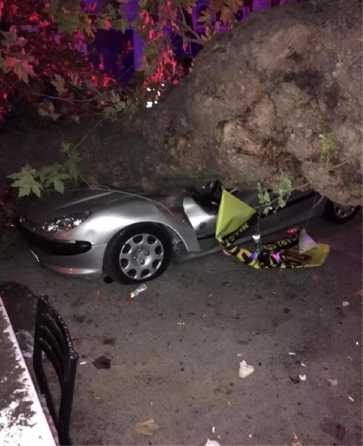 Devrilen ağaç 3 otomobile zarar verdi