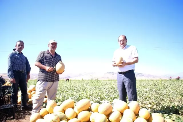 Erzincan'da tarım sektörüne yatırımlar büyük bir ivme kazanmaya başladı