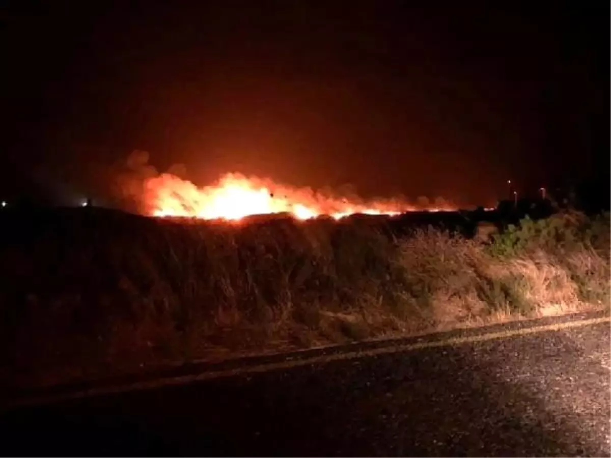 Karaburun'da otluk alanda yangın