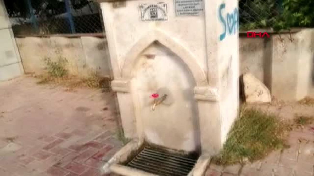 Konya kediye işkence yapıp, kanıyla çeşme mermerine yazı yazmışlar