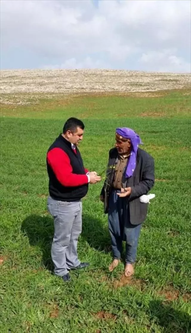 Tektek Dağları Milli Parkı'nın bitkileri araştırıldı Tektek Dağları Milli Parkı'nın bitkileri araştırıldı