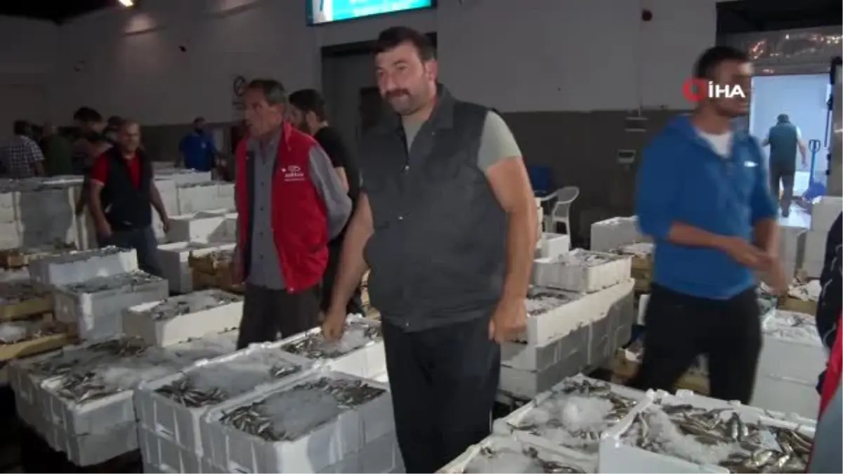 Türkiye'nin balıkları Samsun'dan