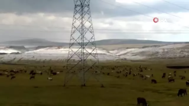 Ardahan dolu yağışı etkili, yollar beyaza büründü Ardahan dolu yağışı etkili, yollar beyaza büründü