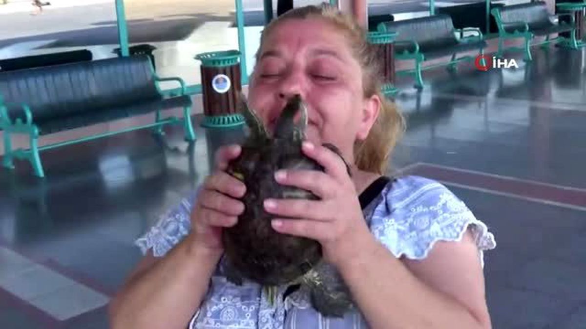 Kaybettiği kaplumbağası Tonti'ye 4 gün sonra kavuştu
