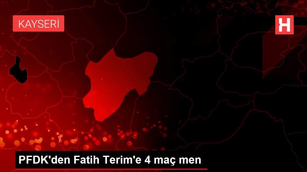 PFDK'den Fatih Terim'e 4 maç men