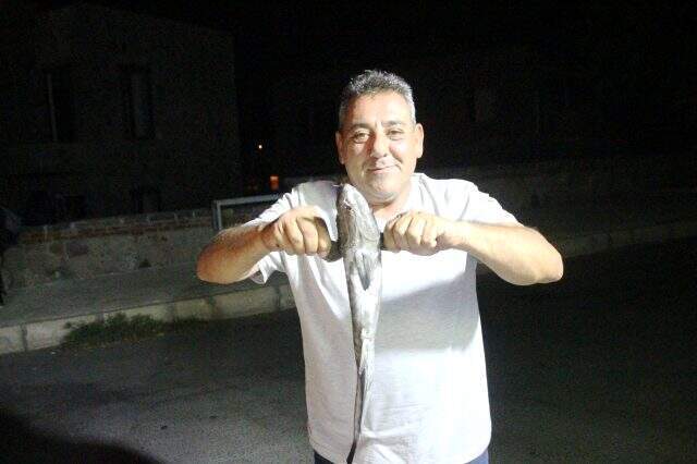 Bodrum'da vantuz balığı şaşkınlığı