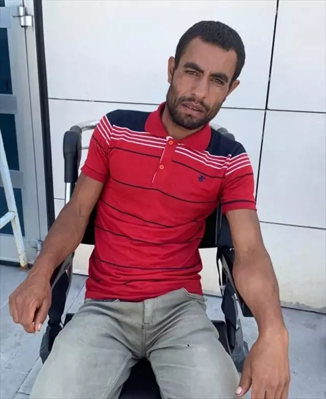 Arılar tarım işçilerine saldırdı Arılar tarım işçilerine saldırdı