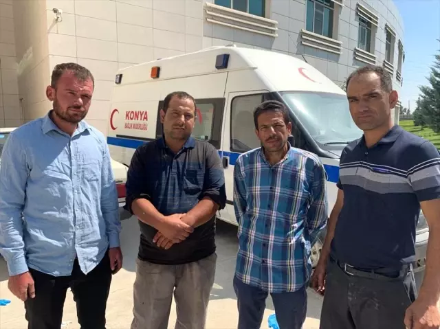 Arılar tarım işçilerine saldırdı Arılar tarım işçilerine saldırdı