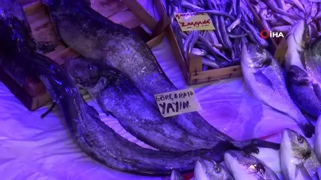 Denizi olmayan Eskişehir'deki balık tezgahları da şenlendi Denizi olmayan Eskişehir'deki balık tezgahları da şenlendi