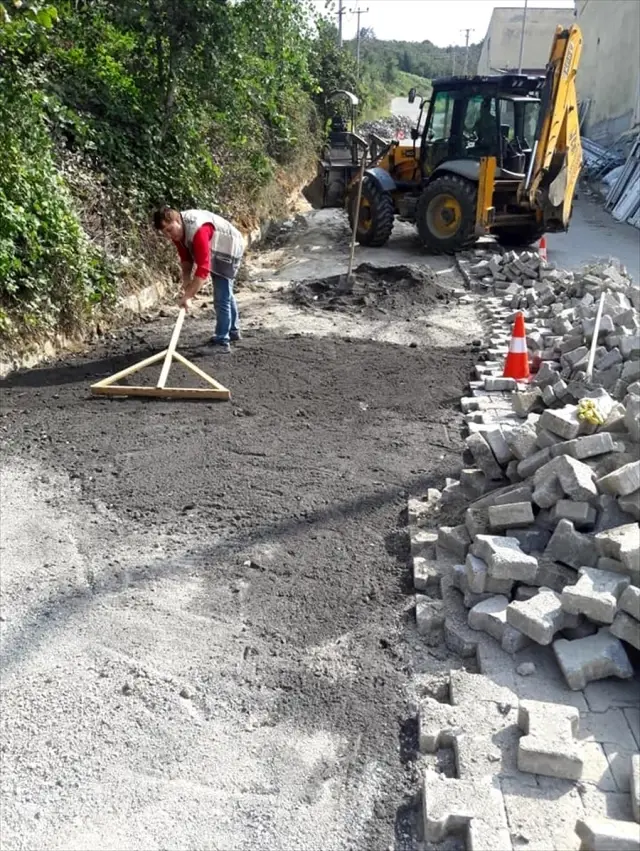 Düzce'den kısa kısa