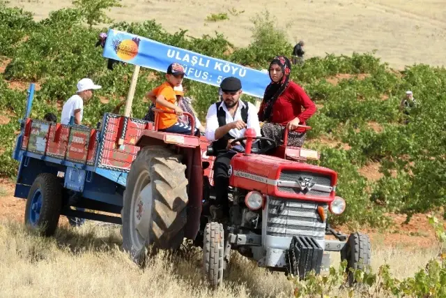 Ürgüp'te Bağ Bozumu Festivali devam ediyor
