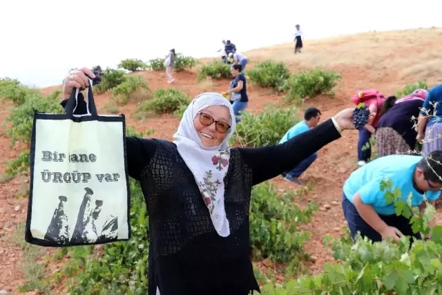 Ürgüp'te Bağ Bozumu Festivali devam ediyor