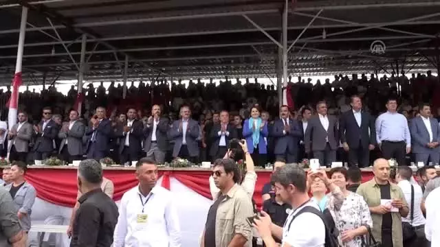 667. Tarihi Elmalı Yağlı Güreşleri (1) 667. Tarihi Elmalı Yağlı Güreşleri (1)