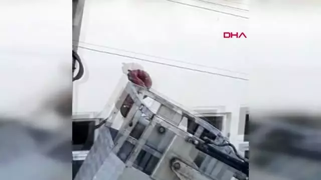 Elektrik direğinde mahsur kalan hindi kurtarıldı
