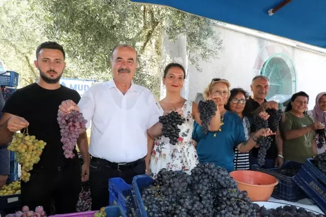 Mudanya'da bağbozumu şenliği yapıldı