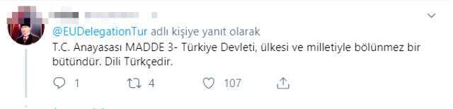 AB Türkiye Delegasyonu, Arapça eğitim öğretim yılı mesajını tepkiler üzerine kaldırdı