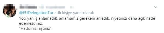 AB Türkiye Delegasyonu, Arapça eğitim öğretim yılı mesajını tepkiler üzerine kaldırdı