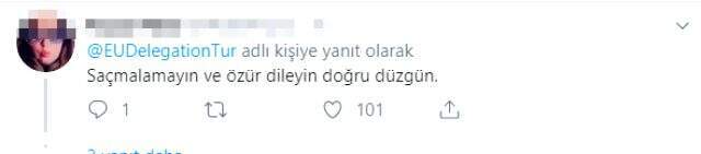 AB Türkiye Delegasyonu, Arapça eğitim öğretim yılı mesajını tepkiler üzerine kaldırdı