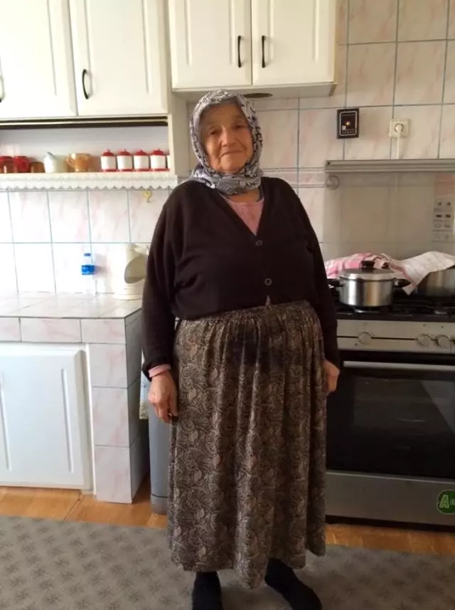 Ağaçtan düşen yaşlı kadın hayatını kaybetti Ağaçtan düşen yaşlı kadın hayatını kaybetti