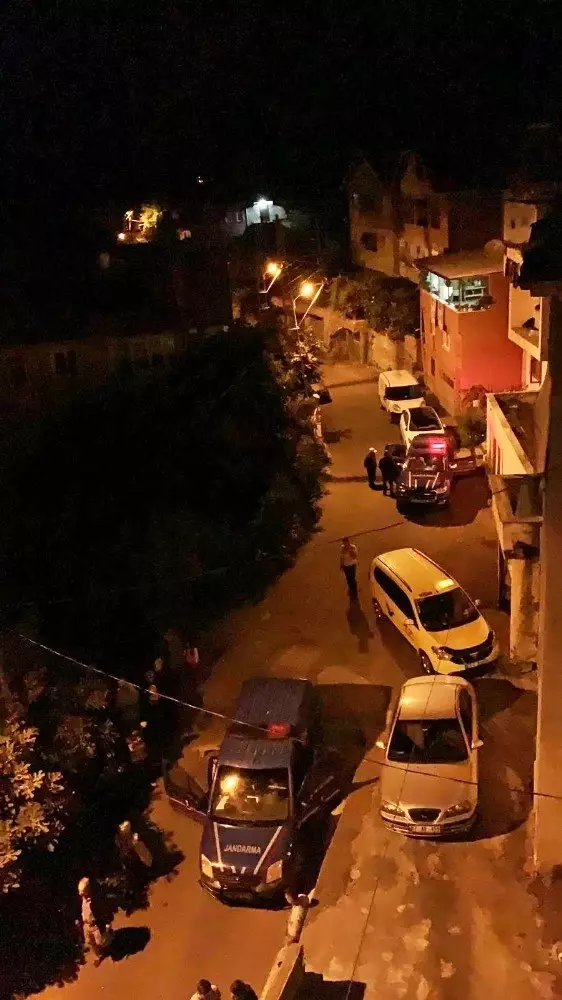Ağaçtan düşen yaşlı kadın hayatını kaybetti Ağaçtan düşen yaşlı kadın hayatını kaybetti
