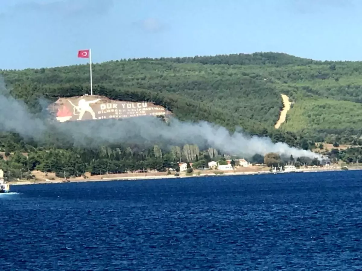 Çanakkale'de orman yangını