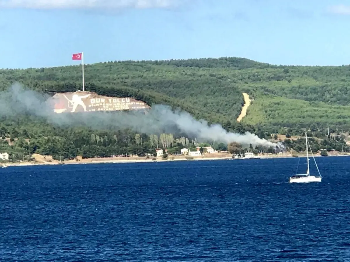 Çanakkale'de orman yangını söndürüldü