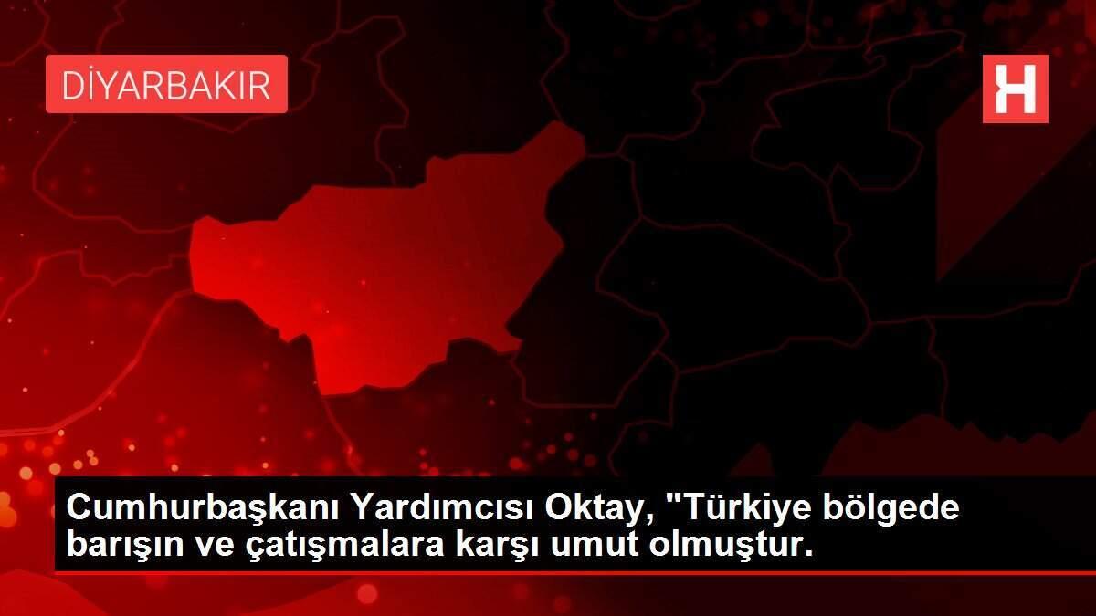 Cumhurbaşkanı Yardımcısı Oktay,