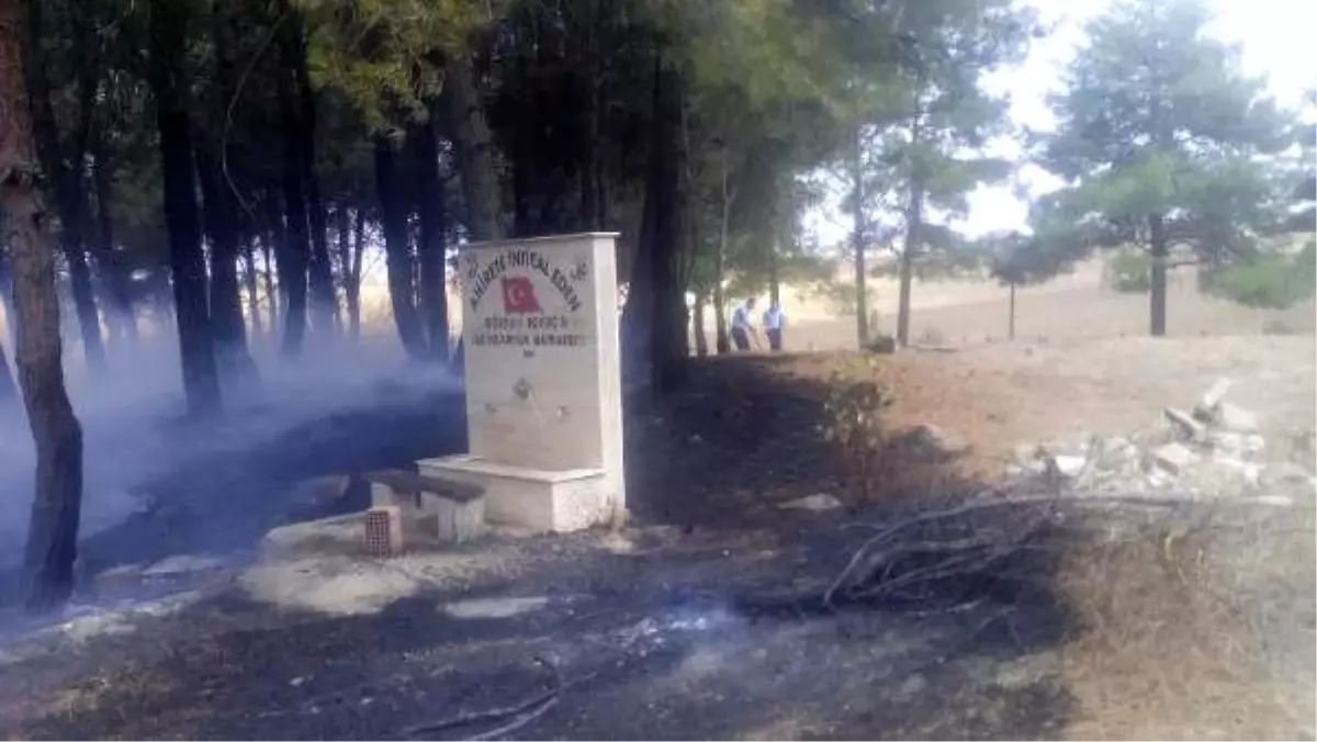 Eski mezarlıkta çıkan yangında ağaç ve mezarlar zarar gördü