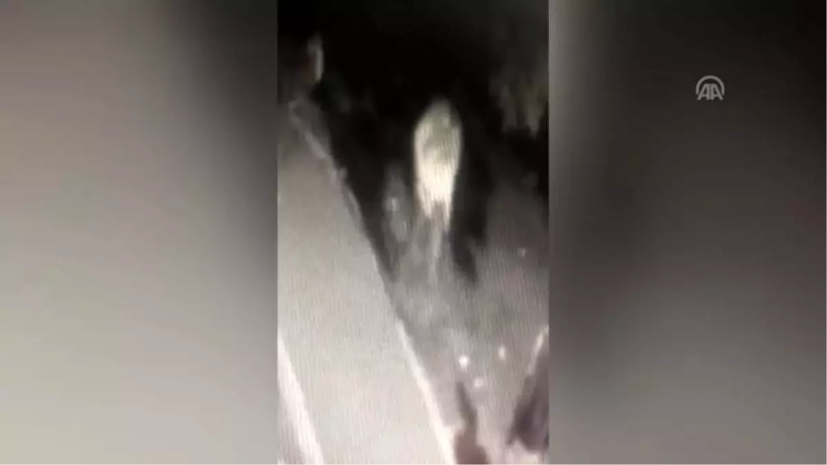 Güvenlik kamerasına içki şişesi fırlatan kişi gözaltına alındı