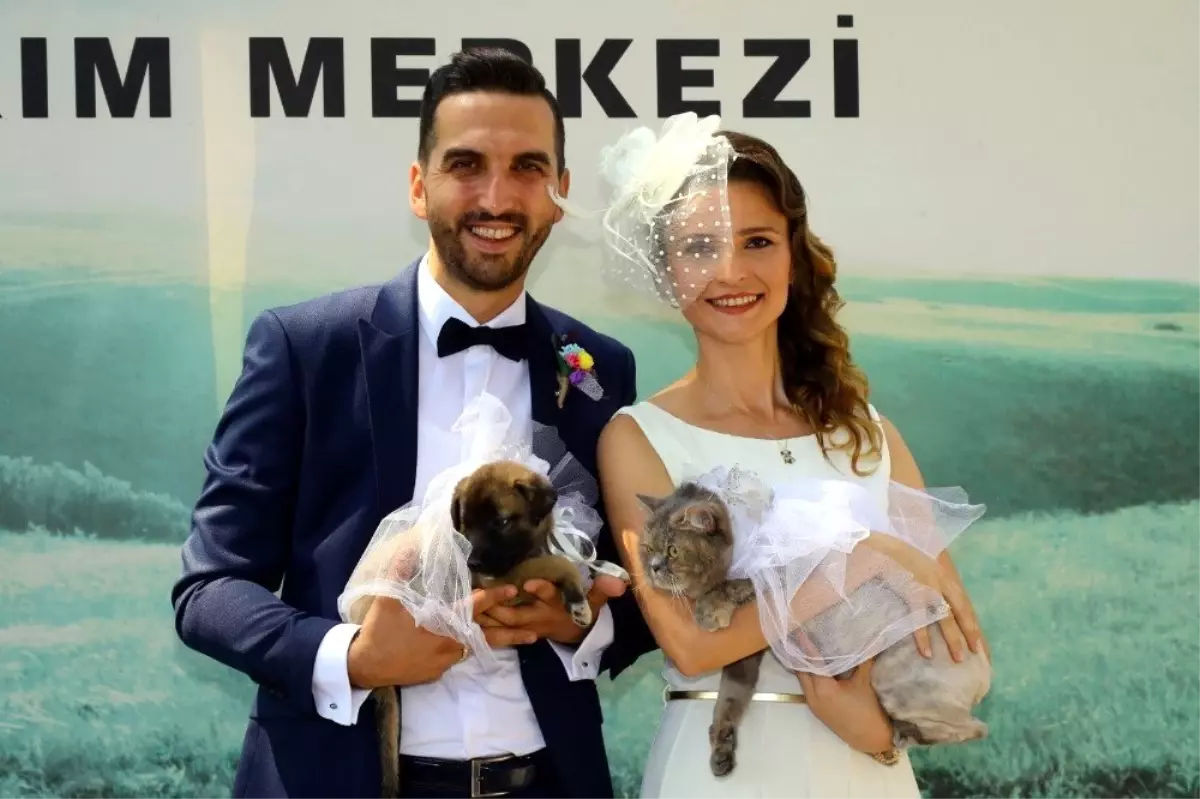 Hayvan Barinaginda Evet Dediler Haber
