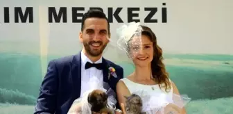 Ayse Karaca Haberleri Ayse Karaca Kimdir Haberler