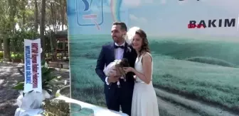 Ayse Karaca Haberleri Ayse Karaca Kimdir Haberler