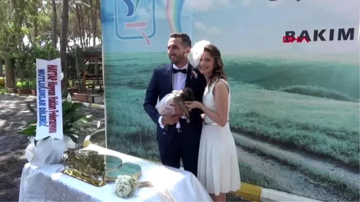 Hayvansever çift, barınakta evlendi