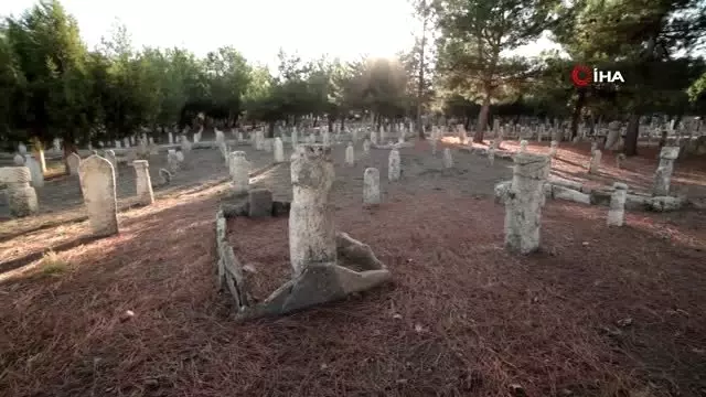 kale i tavas da 3 bin mezar tasinin