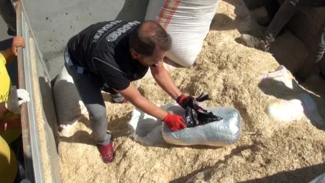 Saman yüklü kamyondan 663 kilogram esrar çıktı