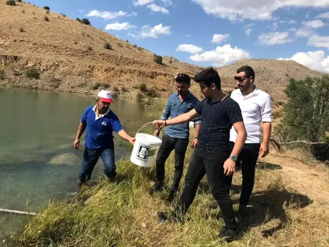 Erzincan'da balıklandırma çalışmaları sürüyor