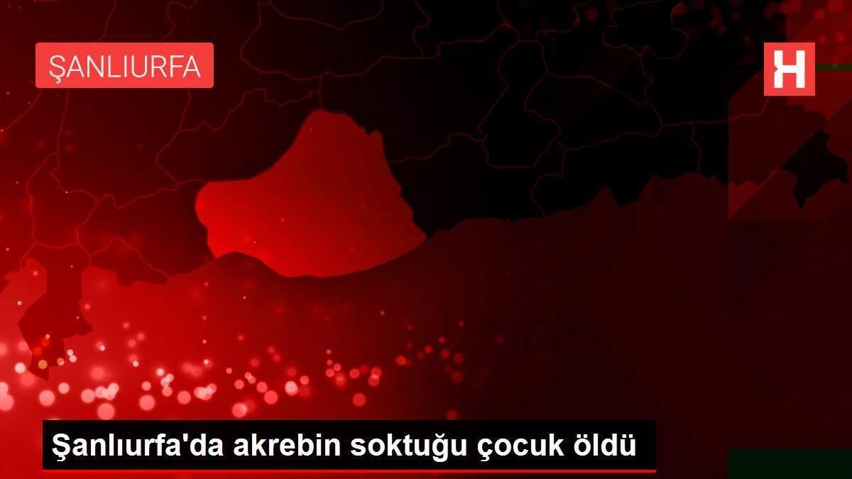 Şanlıurfa'da akrebin soktuğu çocuk öldü Şanlıurfa'da akrebin soktuğu çocuk öldü