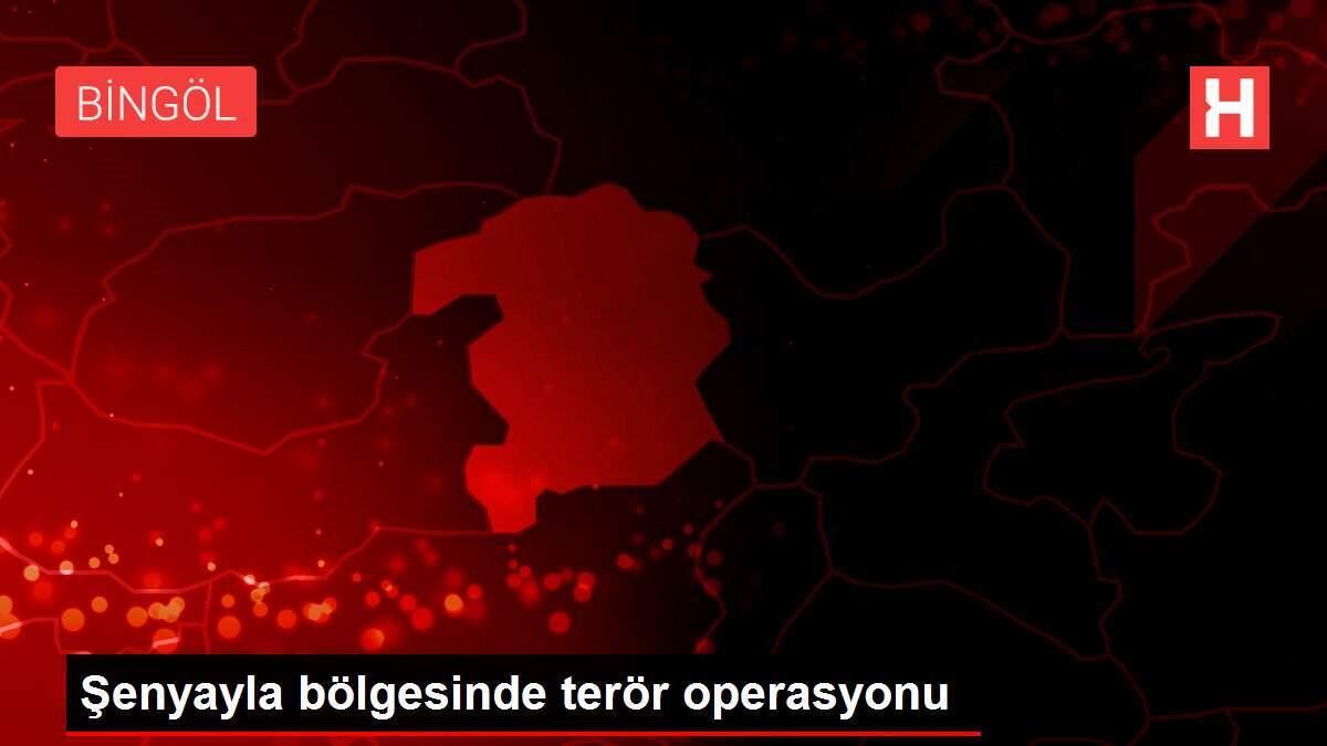 Şenyayla bölgesinde terör operasyonu